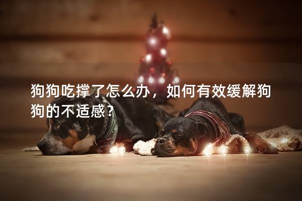 狗狗吃撐了怎么辦，如何有效緩解狗狗的不適感？
