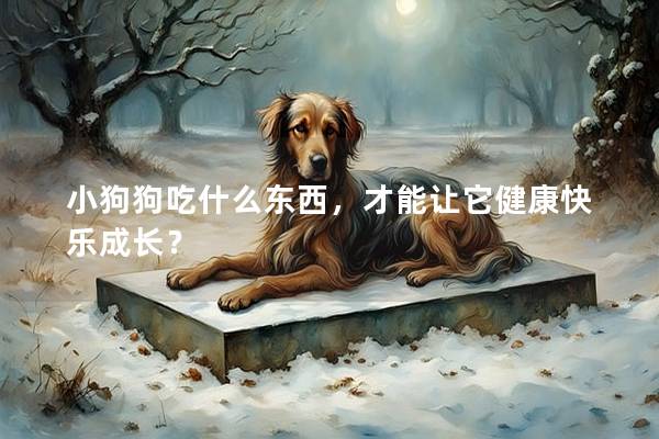 小狗狗吃什么東西，才能讓它健康快樂成長(zhǎng)？