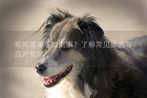 狗狗咳嗽怎么回事？了解常見原因與應(yīng)對(duì)措施
