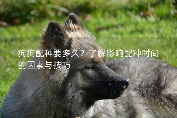 狗狗配種要多久？了解影響配種時間的因素與技巧