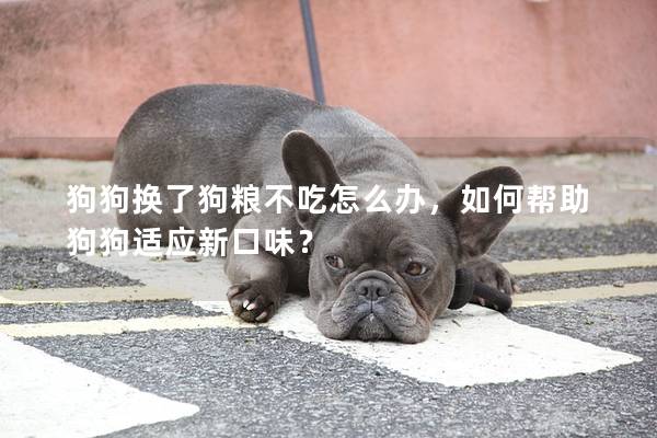 狗狗換了狗糧不吃怎么辦，如何幫助狗狗適應新口味？
