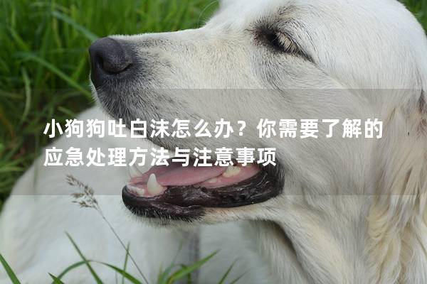小狗狗吐白沫怎么辦？你需要了解的應(yīng)急處理方法與注意事項(xiàng)