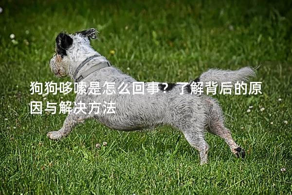 狗狗哆嗦是怎么回事？了解背后的原因與解決方法