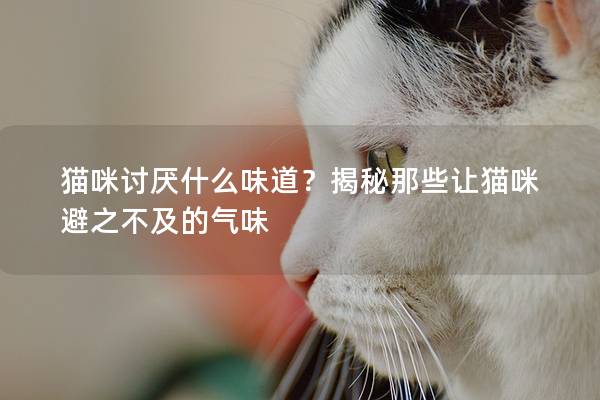 貓咪討厭什么味道？揭秘那些讓貓咪避之不及的氣味