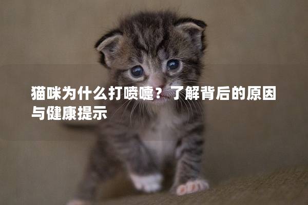 貓咪為什么打噴嚏？了解背后的原因與健康提示