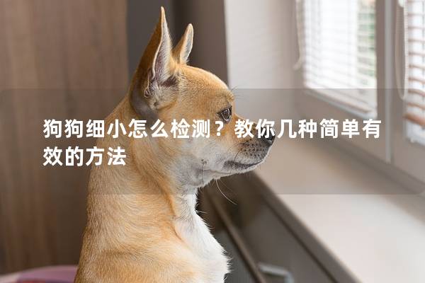 狗狗細(xì)小怎么檢測？教你幾種簡單有效的方法