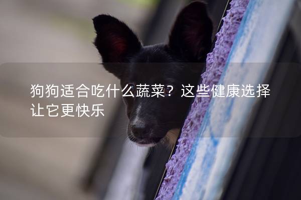 狗狗適合吃什么蔬菜？這些健康選擇讓它更快樂