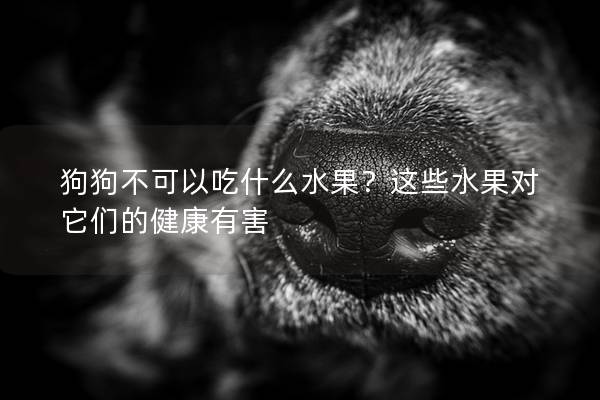 狗狗不可以吃什么水果？這些水果對它們的健康有害