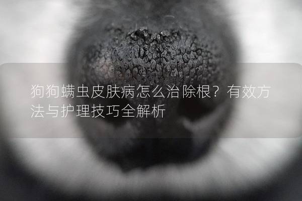 狗狗螨蟲(chóng)皮膚病怎么治除根？有效方法與護(hù)理技巧全解析
