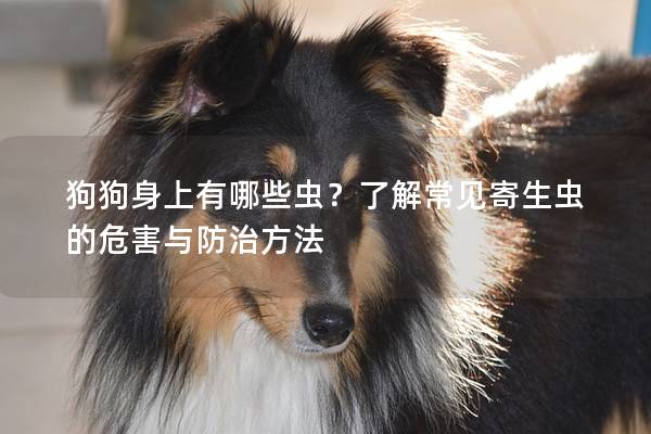 狗狗身上有哪些蟲？了解常見寄生蟲的危害與防治方法