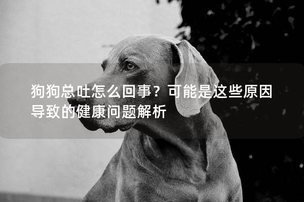 狗狗總吐怎么回事？可能是這些原因?qū)е碌慕】祮栴}解析