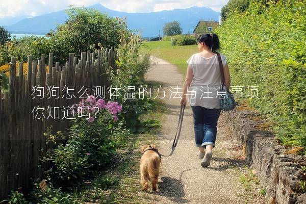 狗狗怎么測體溫的方法與注意事項，你知道嗎？