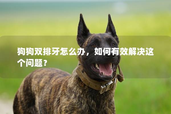 狗狗雙排牙怎么辦，如何有效解決這個問題？