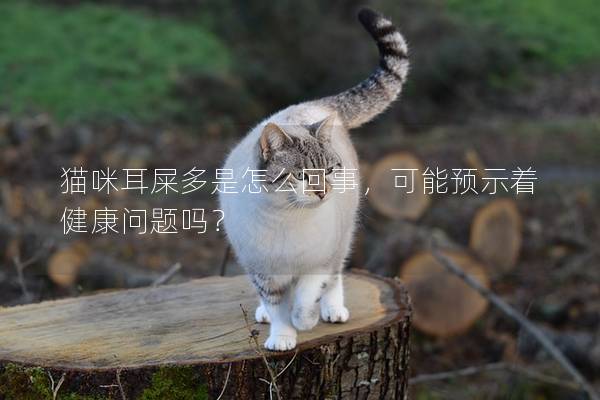 貓咪耳屎多是怎么回事，可能預示著健康問題嗎？