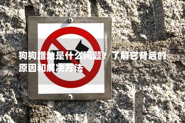 狗狗蹭地是什么問(wèn)題？了解它背后的原因和解決方法