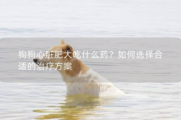 狗狗心臟肥大吃什么藥？如何選擇合適的治療方案