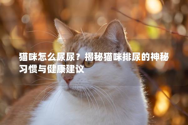貓咪怎么尿尿？揭秘貓咪排尿的神秘習慣與健康建議