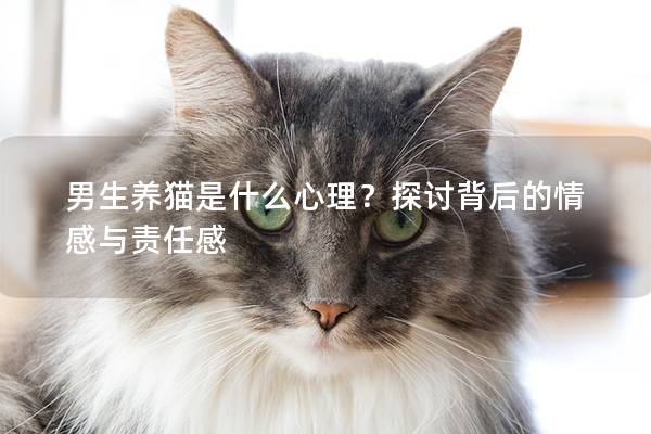 男生養(yǎng)貓是什么心理？探討背后的情感與責(zé)任感
