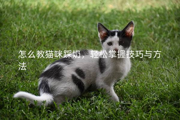 怎么教貓咪踩奶，輕松掌握技巧與方法