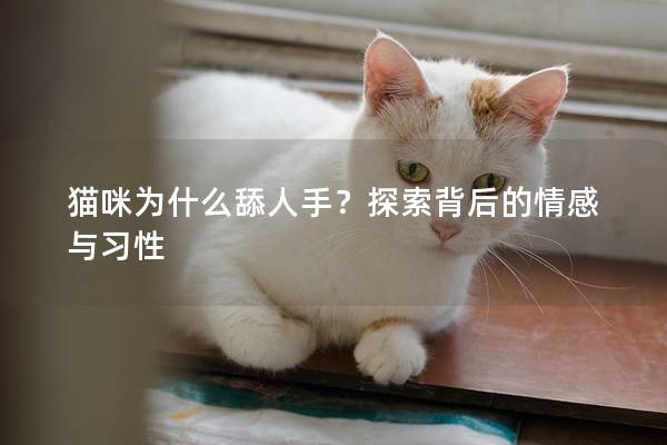 貓咪為什么舔人手？探索背后的情感與習性