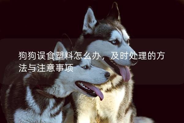 狗狗誤食塑料怎么辦，及時處理的方法與注意事項
