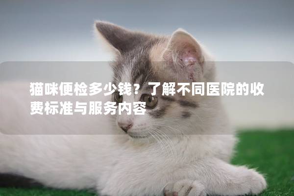 貓咪便檢多少錢？了解不同醫院的收費標準與服務內容