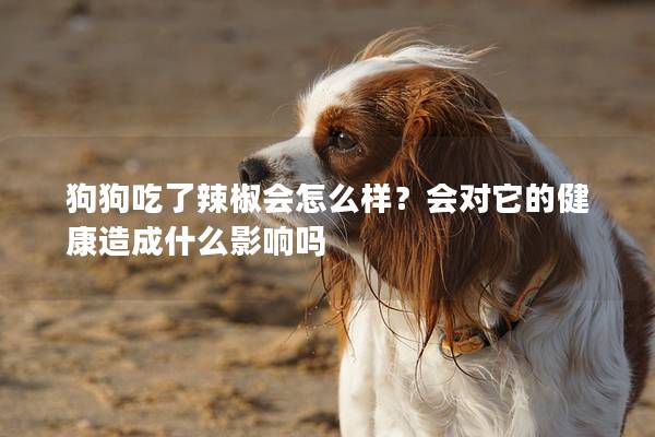 狗狗吃了辣椒會怎么樣?會對它的健康造成什么影響嗎 狗狗吃了辣椒會怎么樣?會對它的健康造成什么影響嗎