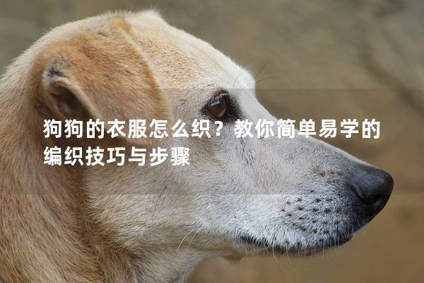 狗狗的衣服怎么織？教你簡單易學的編織技巧與步驟