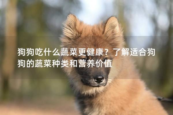 狗狗吃什么蔬菜更健康？了解適合狗狗的蔬菜種類和營養價值
