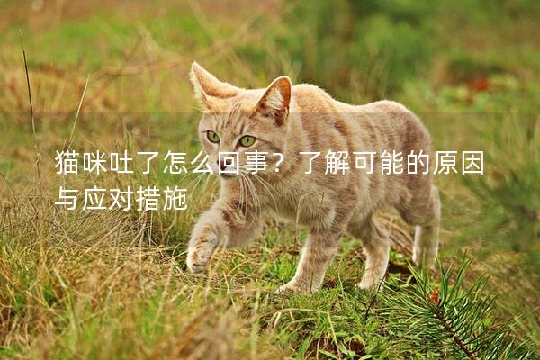 貓咪吐了怎么回事？了解可能的原因與應對措施