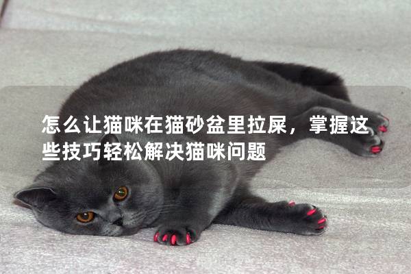 怎么讓貓咪在貓砂盆里拉屎，掌握這些技巧輕松解決貓咪問題