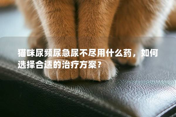 貓咪尿頻尿急尿不盡用什么藥，如何選擇合適的治療方案？