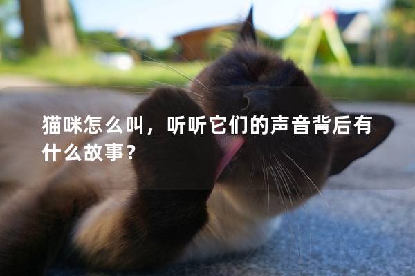 貓咪怎么叫，聽聽它們的聲音背后有什么故事？