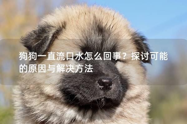 狗狗一直流口水怎么回事？探討可能的原因與解決方法