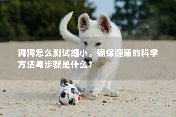 狗狗怎么測試細小，確保健康的科學(xué)方法與步驟是什么？