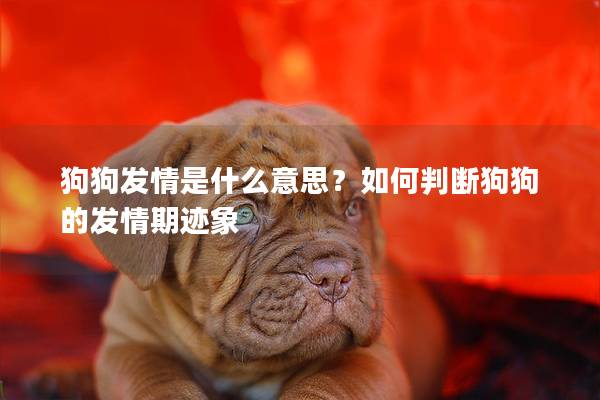 狗狗發(fā)情是什么意思？如何判斷狗狗的發(fā)情期跡象