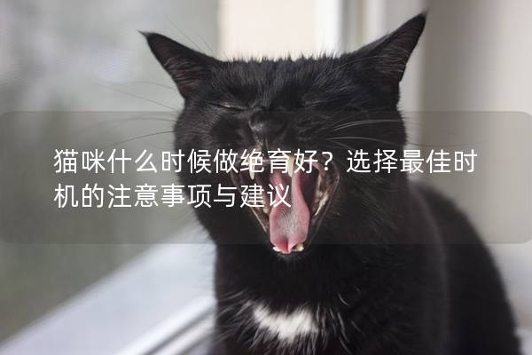 貓咪什么時(shí)候做絕育好?選擇最佳時(shí)機(jī)的注意事項(xiàng)與建議 貓咪什么時(shí)候做絕育好?選擇最佳時(shí)機(jī)的注意事項(xiàng)與建議