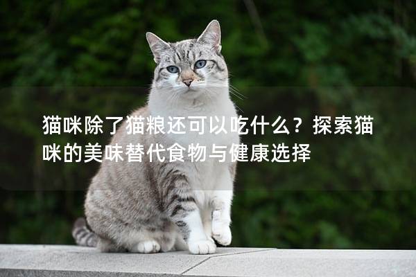 貓咪除了貓糧還可以吃什么？探索貓咪的美味替代食物與健康選擇