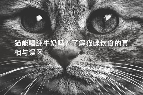 貓能喝純牛奶嗎？了解貓咪飲食的真相與誤區