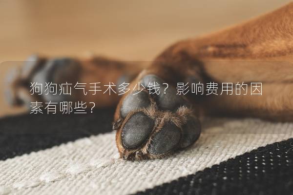 狗狗疝氣手術(shù)多少錢？影響費(fèi)用的因素有哪些？