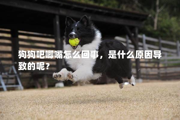狗狗吧唧嘴怎么回事，是什么原因導致的呢？