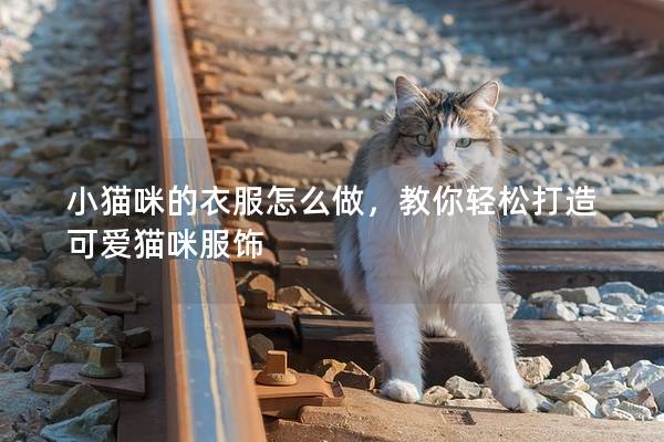 小貓咪的衣服怎么做，教你輕松打造可愛貓咪服飾