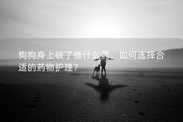 狗狗身上破了擦什么藥，如何選擇合適的藥物護(hù)理？
