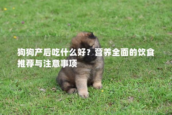 狗狗產(chǎn)后吃什么好？營養(yǎng)全面的飲食推薦與注意事項