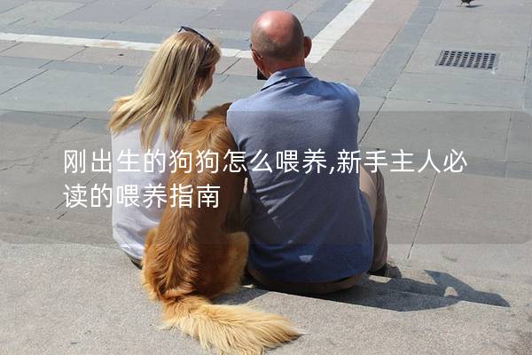 剛出生的狗狗怎么喂養,新手主人必讀的喂養指南