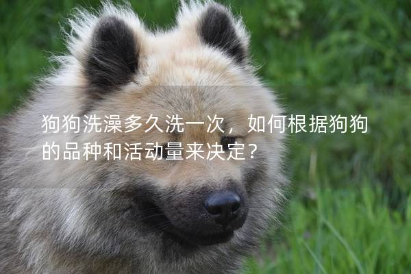 狗狗洗澡多久洗一次，如何根據(jù)狗狗的品種和活動(dòng)量來決定？