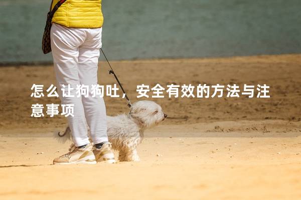 怎么讓狗狗吐，安全有效的方法與注意事項