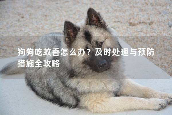 狗狗吃蚊香怎么辦？及時處理與預防措施全攻略