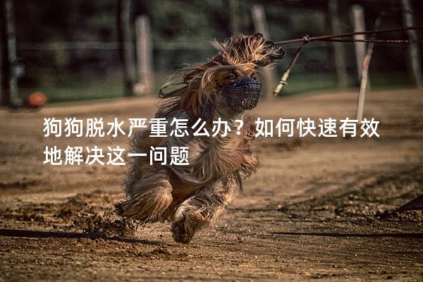 狗狗脫水嚴重怎么辦？如何快速有效地解決這一問題