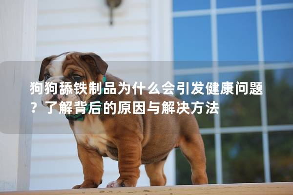 狗狗舔鐵制品為什么會(huì)引發(fā)健康問題？了解背后的原因與解決方法